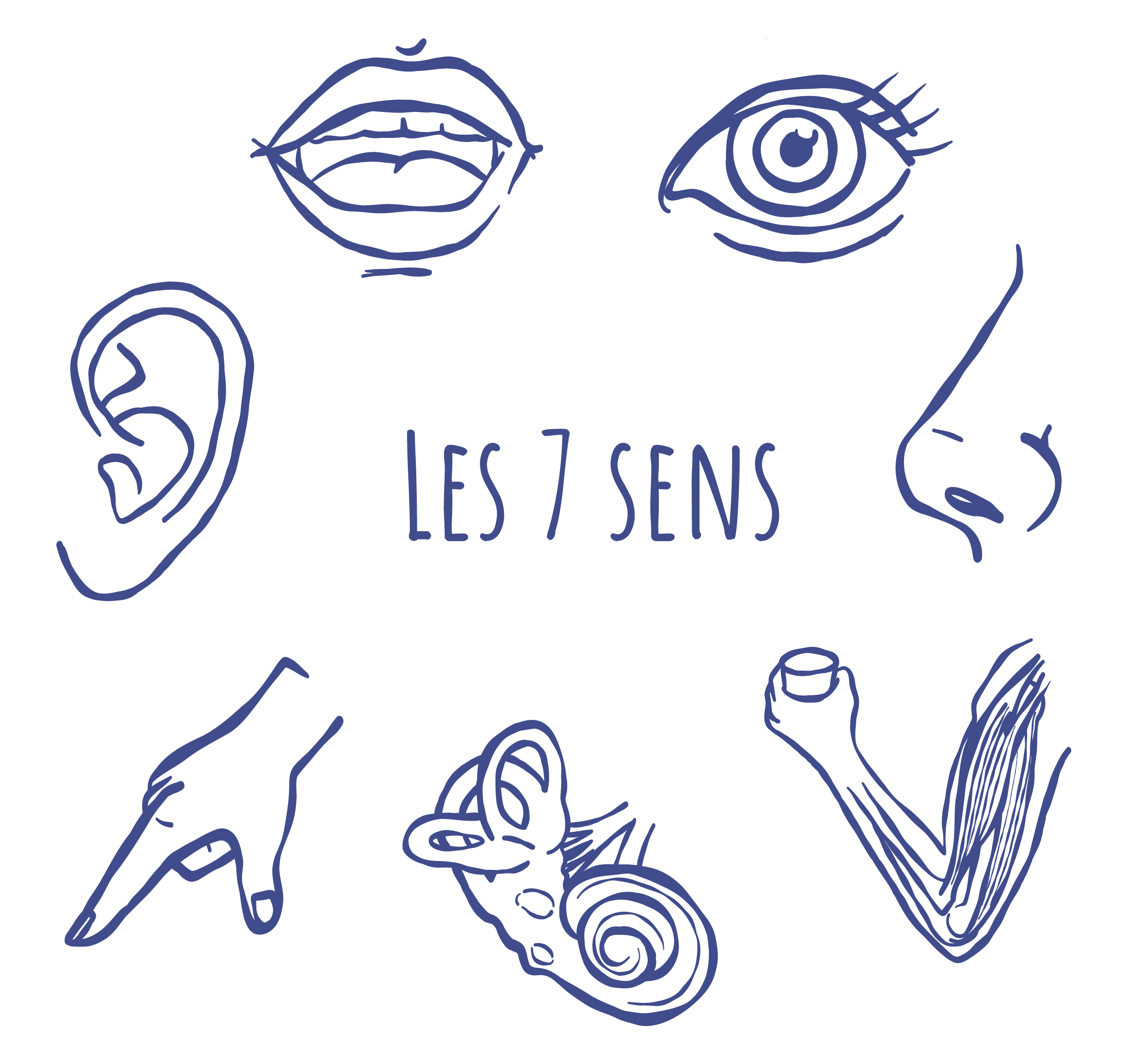 illustration des 7 sens