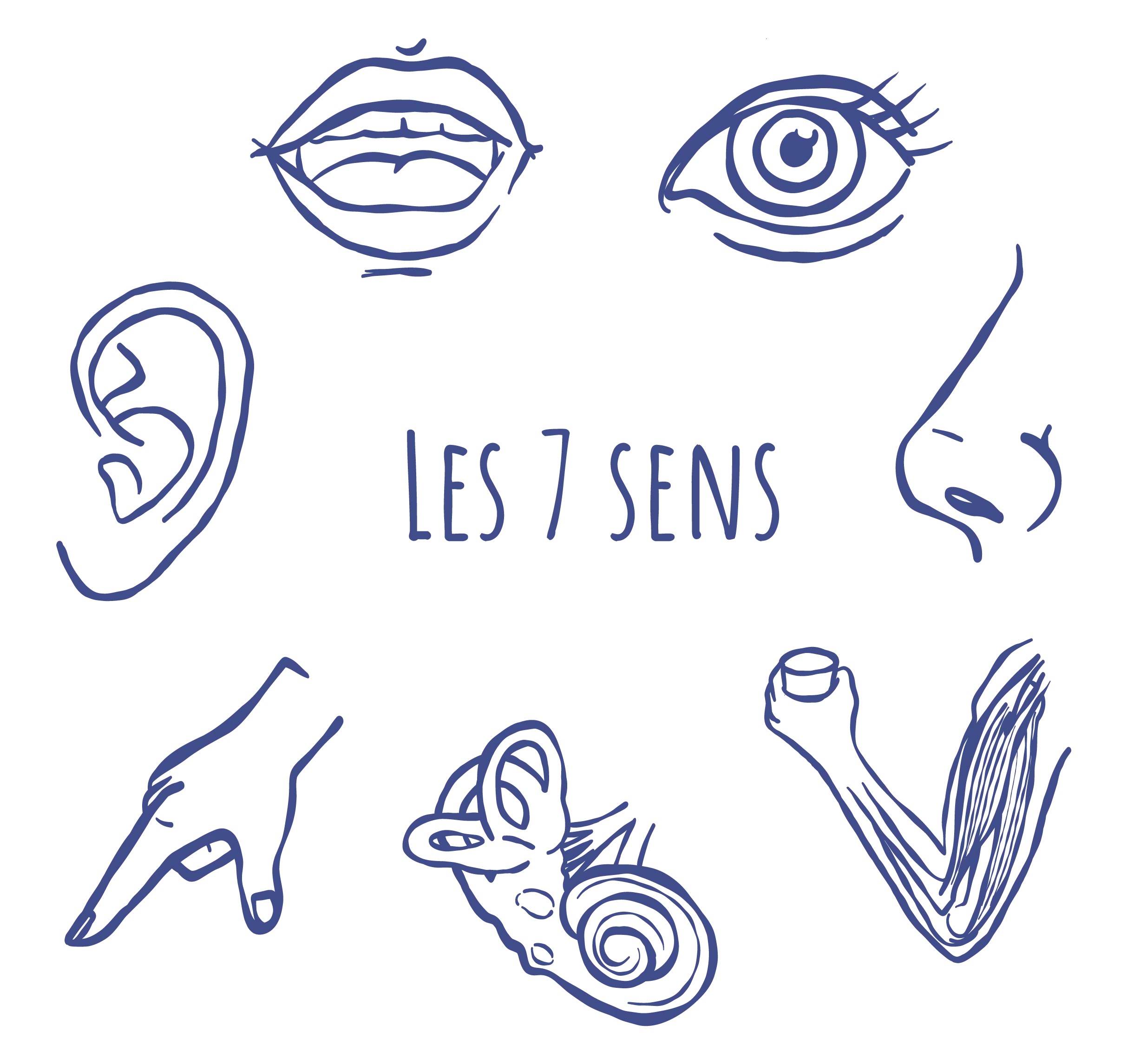 illustration des 7 sens